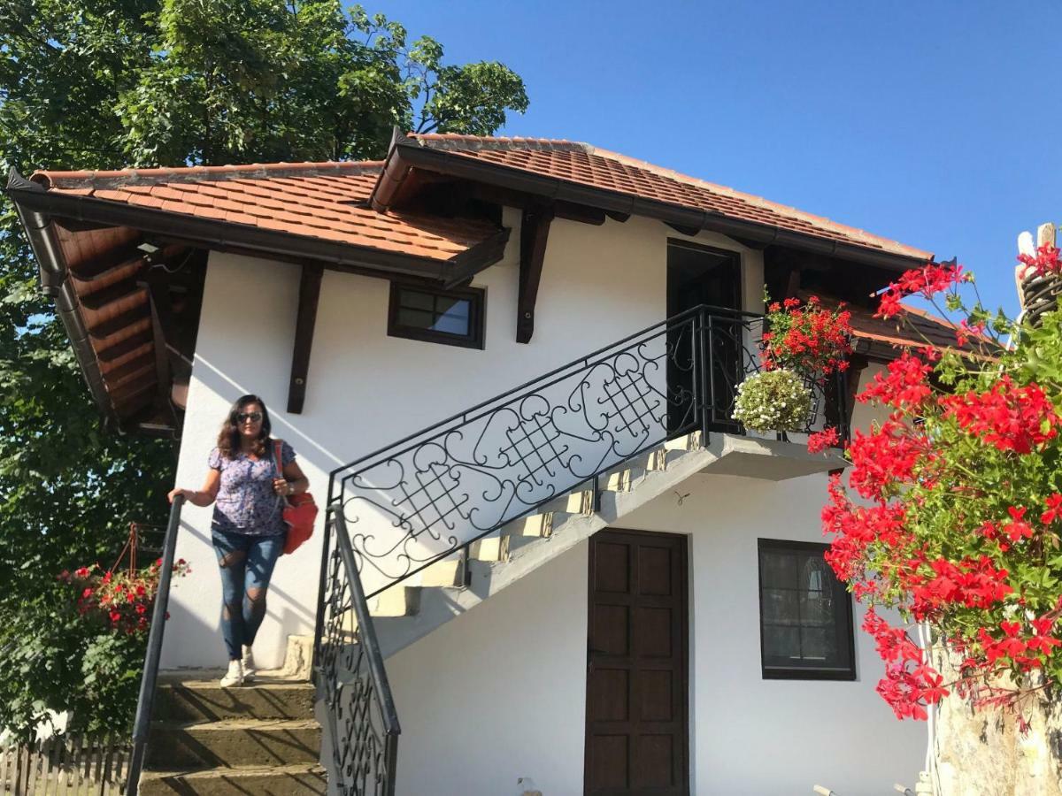 Bed and Breakfast Etno Selo Lelic Valjevo Exteriér fotografie